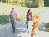Ehepaar Joerges beim reinholen der Kühe