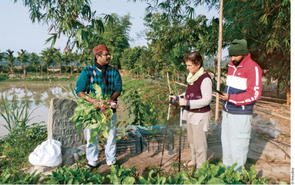 Begutachtung der Sorten mit Neelam Dutta auf seiner Farm Pabhoi Greens, in Assam.